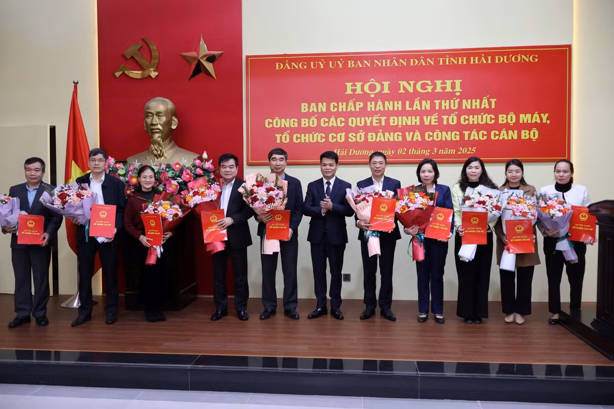 Hai Duong: Cong bo quyet dinh to chuc bo may, cong tac nhan su-Hinh-2