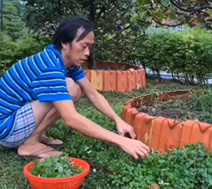 “Lao nong” Hoai Linh va suc hut ky la tu dieu gian di nhat-Hinh-2