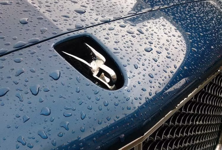 Phía trước nắp ca-pô là biểu tượng (mascot) hình chữ B có cánh "Flying B" nổi tiếng của Bentley với khả năng thụt vào trong khung lưới tản nhiệt của xe.