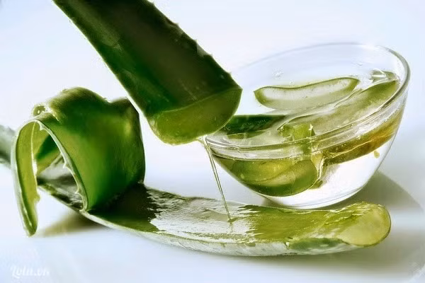 Gel nha đam là một trong những nguyên liệu tự nhiên cực kỳ tốt dùng để làm nước rửa tay chiết xuất từ thiên nhiên.