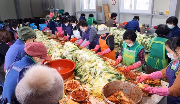 Cai thao tang gia gap ruoi, Han Quoc roi vao khung hoang kimchi
