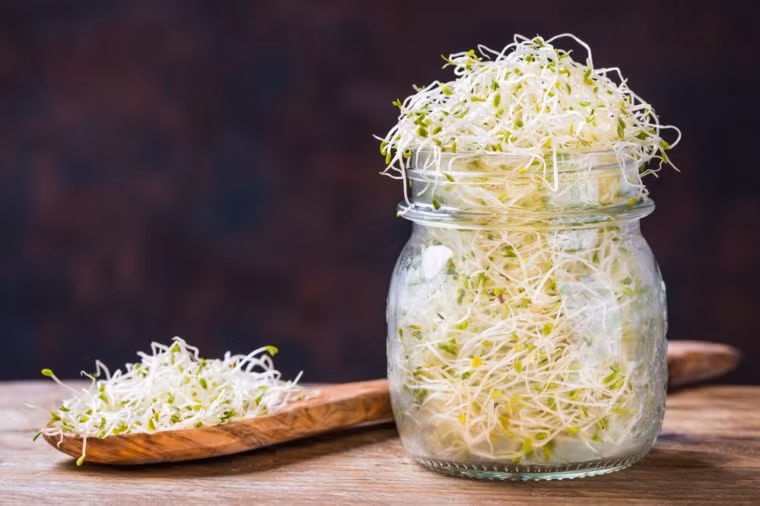 Rau mầm có thể chứa vi khuẩn có hại như E. coli, Salmonella và Listeria do được trồng trong điều kiện ẩm, ấm - nơi những vi khuẩn này phát triển mạnh. Vì vậy không nên ăn rau mầm sống.