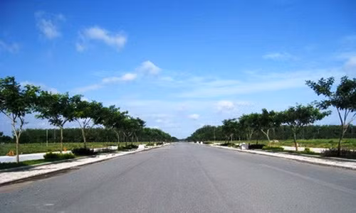 Tuyến đường ở huyện Nhơn Trạch, tỉnh Đồng Nai, nơi người đi đường phát hiện bà P. nghi bị vứt ven đường.