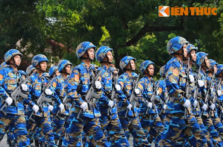 Một trong những nhiệm vụ chính của Hải quân Đánh bộ Việt Nam là bảo vệ các đảo, đá hoặc tấn công, đổ bộ bằng đường biển lên đất liền hoặc lên các đảo bị nước ngoài chiếm đóng.