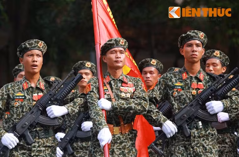 Lực lượng đổ bộ đường không có chức năng phối hợp với các đơn vị không quân vận tải sử dụng các loại máy bay, trực thăng vận tải nhằm thực hiện các cuộc đổ bộ bằng đường không, thả dù tiếp tế hàng hóa và cả thiết giáp dù (thả dù xe cơ giới).