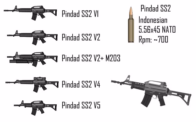 Cùng với Anoa, Indonesia ra sức tiếp thị tới Pakistan và nhiều nước khác dòng súng trường tấn công Pindad SS2. Hiện đây cũng là mẫu súng trường tiêu chuẩn của lực lượng vũ trang Indonesia.