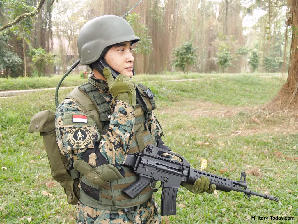 SS-2 được phát triển bởi công ty Pindad trên cơ sở khẩu súng trường FN FNC của Bỉ từ năm 2005 đến nay. Nó có trọng lượng khoảng 3,4kg (rộng) hoặc 4,2kg (mang đạn), dài 990mm (báng mở) hoặc 740mm (báng gấp).