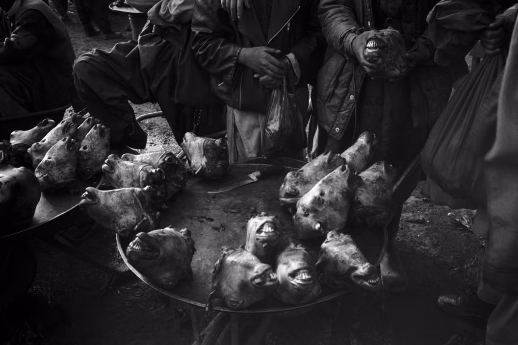 Đầu cừu được bày bán tại một khu chợ ở Kabul. Ảnh: A. Abbas/ Magnum Photos.