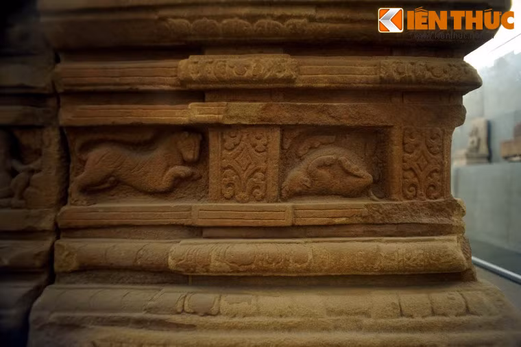 Người ra còn có hình ảnh nhiều loại động vật khác nhau.