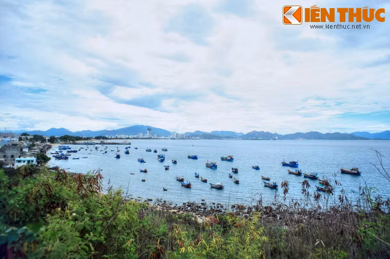 Vịnh có diện tích khoảng 507km², gồm 19 đảo lớn nhỏ, trong đó Hòn Tre là đảo lớn nhất, với diện tích 32,5 km2; đảo nhỏ nhất là Hòn Nọc chỉ khoảng 4 ha.
