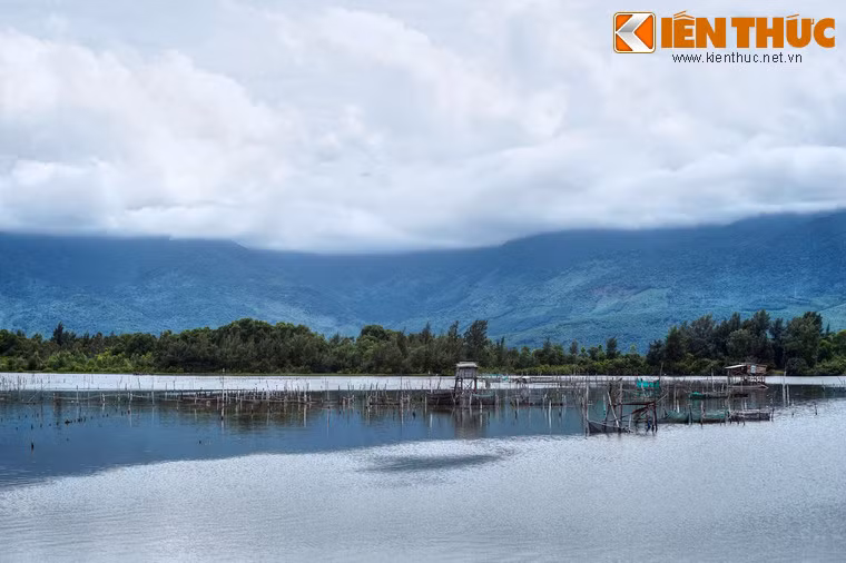 Đặc sản của đầm là hàu. Hàu ở đây được sản xuất theo phương thức đặc biệt, đó là nuôi cấy trên những chiếc lốp xe buộc vào sào tre.