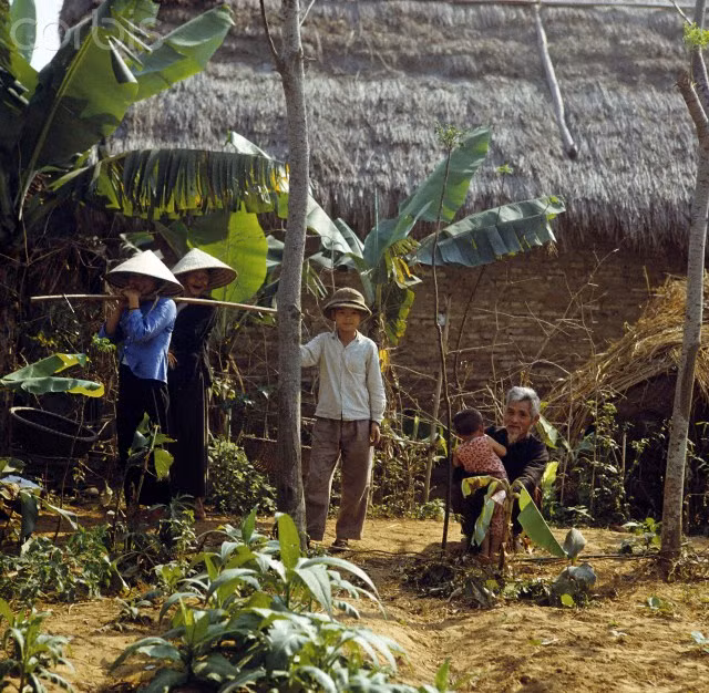 5. Điều kiện môi trường. Vào thời bao cấp, chất lượng không khí, nguồn nước và đất trồng vẫn còn tốt... Ảnh tư liệu.