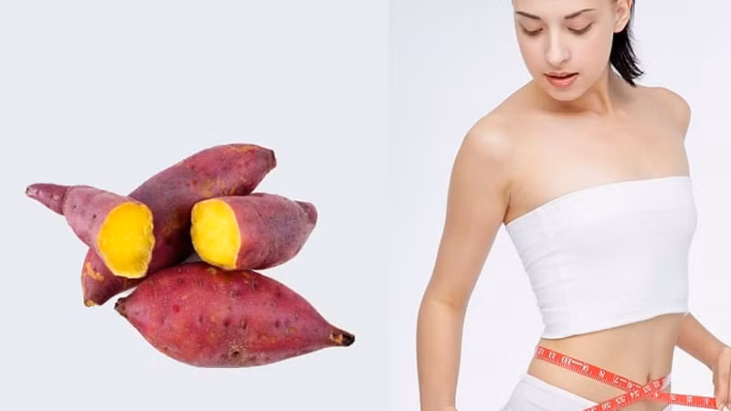 Khoai lang có chứa hàm lượng kcal thấp. Ước tính trong 100g khoai lang sẽ có chứa khoảng 112 kcal, cùng với khoảng 26g tinh bột, 2g chất đạm cùng với các loại chất xơ, chất béo, vitamin A, vitamin B6. Lượng tinh bột này trong khoai lang đáp ứng nhu cầu vận động cần thiết của cơ thể mà không sợ dư thừa, làm tích tụ chất béo. Ảnh minh họa