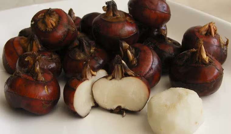 Củ năng được đánh giá là rất bổ dưỡng. Hơn nữa nó còn có tác dụng hỗ trợ chữa trị các bệnh như: Đái tháo đường, tim mạch, giảm nguy cơ sỏi thận, phục hồi sức khỏe… Ảnh Internet 