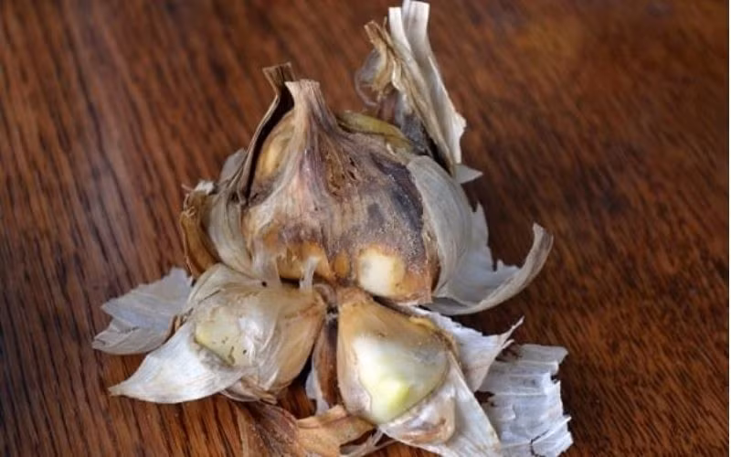  Tỏi bị mốc gây hại cho sức khỏe: Nấm mốc sinh ra các chất độc hại như aflatoxin - một loại chất có khả năng gây ung thư nếu tích tụ trong cơ thể. Việc tiêu thụ tỏi mốc hoặc hư hỏng có thể gây ra các vấn đề về tiêu hóa, đặc biệt là đau bụng, buồn nôn, ngộ độc thực phẩm. Với hàm lượng đủ lớn, aflatoxin thậm chí có thể gây ngộ độc nặng và tử vong. Ảnh BHX