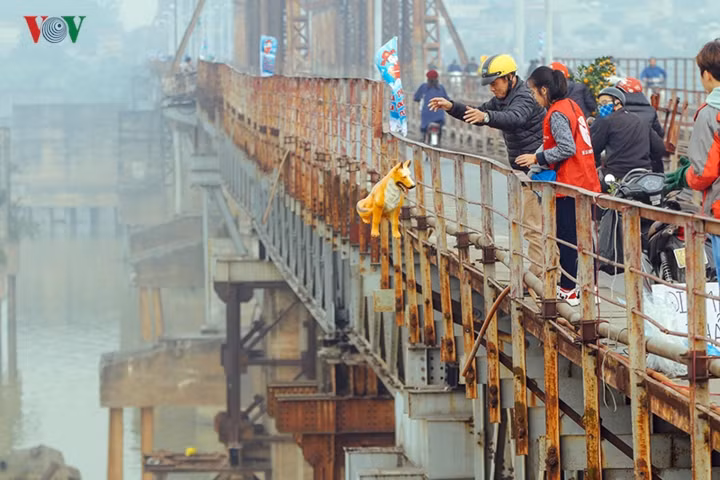 Trong khi đó, nhiều người thiếu ý thức bất chấp lời khuyên của nhóm tình nguyện vẫn vô tư ném con vật bằng sứ xuống sông.
