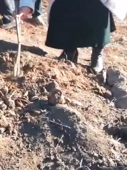 Gái trẻ 18 tuổi đã chết vẫn... lấy chồng và sự thực đáng sợ - Hình 2 Gai tre 18 tuoi da chet van... lay chong va su thuc dang so-Hinh-2
