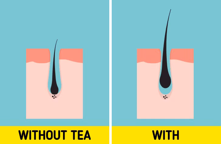 Kinh ngạc điều xảy ra nếu bạn uống 4 tách trà mỗi ngày - Hình 3 Kinh ngac dieu xay ra neu ban uong 4 tach tra moi ngay-Hinh-3