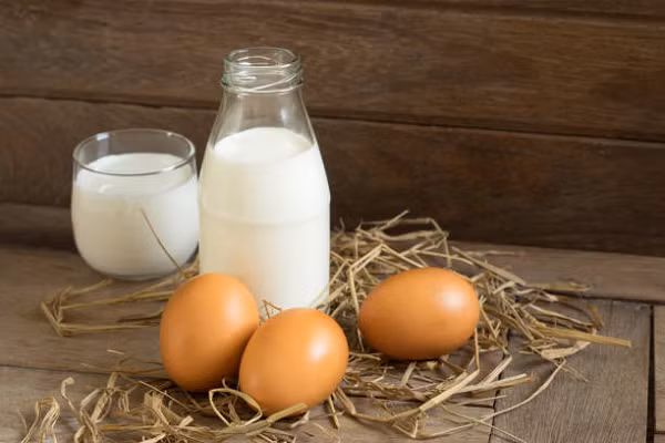 Ngoài ra, bạn cũng nên ăn các thực phẩm giàu protein để giúp tạo ra các kháng thể. Hãy bổ sung protein bằng cách ăn trứng, sữa, đậu, cá, đậu nành và hạt diêm mạch. (Ảnh: iStock)