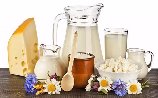 Mỗi ngày, bạn nên thưởng thức 1 ly sữa để nạp canxi. Đồng thời, sữa và các sản phẩm từ sữa còn rất giàu protein, khoáng chất và các yếu tố vi lượng. Những chất này sẽ giúp ngăn ngừa tình trạng thiếu hụt dinh dưỡng.