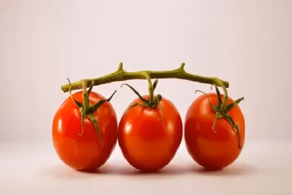 Cà chua. Cà chua rất giàu chất lycopene. Nó giúp bảo vệ làn da của bạn chống lại tia cực tím của mặt trời vào mùa hè. (Ảnh minh họa)