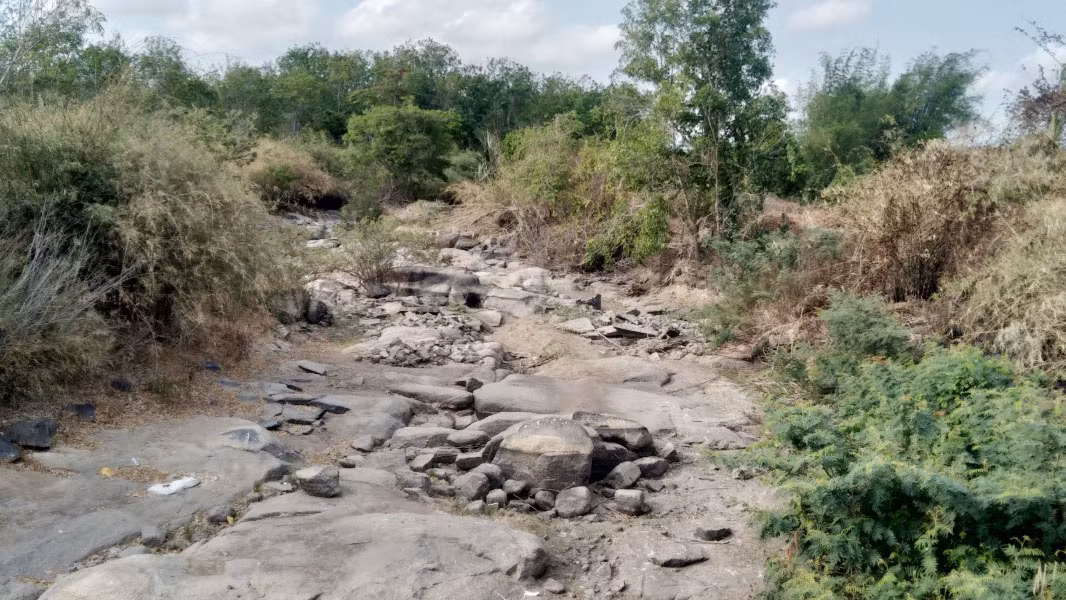 Bình Thuận: Suối khô, giếng cạn người dân phải mua nước giá cao Binh Thuan: Suoi kho, gieng can nguoi dan phai mua nuoc gia cao