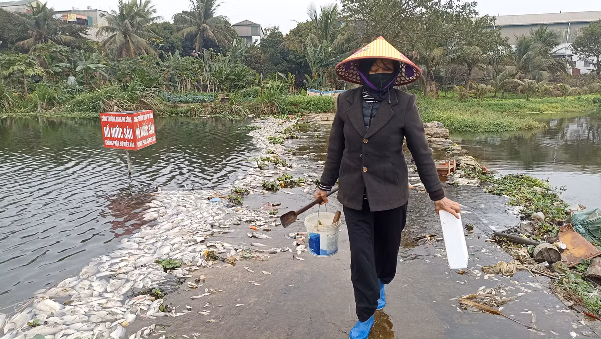 Ca chet tren suoi Co Dam o Thanh Hoa do o nhiem nguon nuoc-Hinh-2