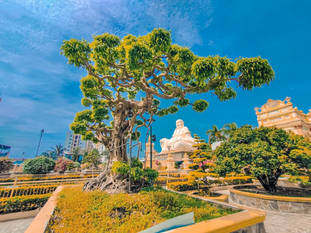 Nếu muốn đến chùa từ TP.HCM, du khách đi theo hướng quốc lộ 1A đến trung tâm thành phố Mỹ Tho. Sau đó, bạn theo hướng tỉnh lộ 879 khoảng 3 km, đến công viên Vĩnh Tràng, sau đó rẽ trái khoảng 300 m. Chùa nằm cách trung tâm thành phố Mỹ Tho khoảng 4 km.
