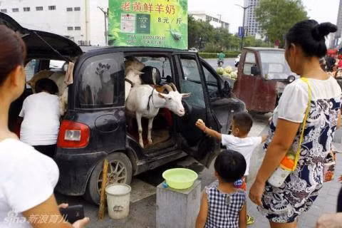 Trung Quoc: Mang de dao pho...ban sua tuoi nguyen chat
