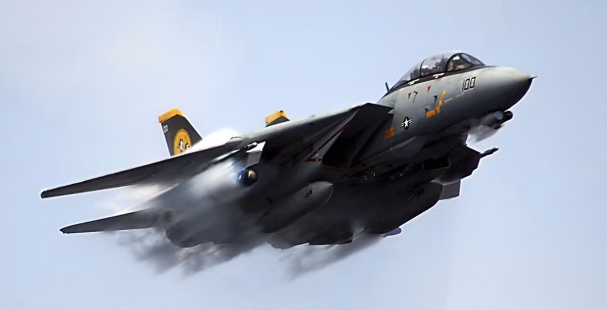 Máy bay chiến đấu F-15 chủ yếu làm nhiệm vụ chiếm ưu thế trên không, được tối ưu hóa cho các cuộc không chiến tầm gần; trong khi F-14, được phát triển cho Hải quân Mỹ, nổi trội với vai trò là máy bay đánh chặn tầm xa với khả năng đa nhiệm độc đáo. 
