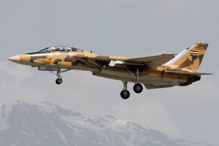 Vào tháng 1 năm 1974, Iran đã ký một thỏa thuận mang tính đột phá để mua 30 chiếc F-14 Tomcat, với tùy chọn mở rộng đơn đặt hàng lên 79 máy bay. Thỏa thuận này không chỉ bao gồm máy bay, mà còn bao gồm cả đào tạo mở rộng, hỗ trợ bảo dưỡng và nguồn tên lửa AIM-54 Phoenix. 