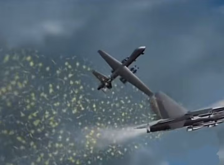 Theo một số thông tin, chiếc Su-27 của Nga đã quay trở lại sân bay với những “xước sát”. Trong mọi trường hợp, đây là một hoạt động tiêu diệt đối phương kiểu “cận chiến”, nhưng không sử dụng vũ khí; được thực hiện bởi kỹ năng “điêu luyện” của phi công Nga. Vì vậy sự cố này có thể được gọi là "Dao mổ Biển Đen". 