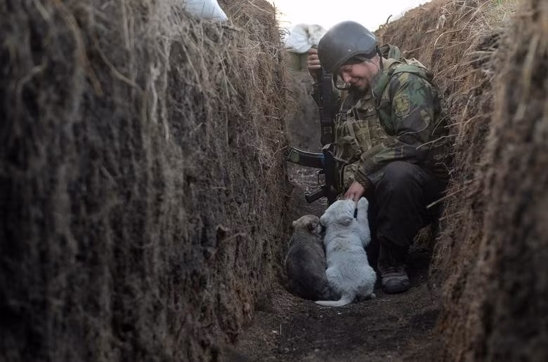 Người lính đào ngũ trên là Binh nhì Tumoshenko, một binh sĩ thuộc Lữ đoàn 24 của Quân đội Ukraine đang đóng tại Miền Đông, đã nhờ một người bạn cấp cho anh ta một vận đơn giả, ghi là vẫn chuyển vật tư nông nghiệp cho một trong những nông dân địa phương.