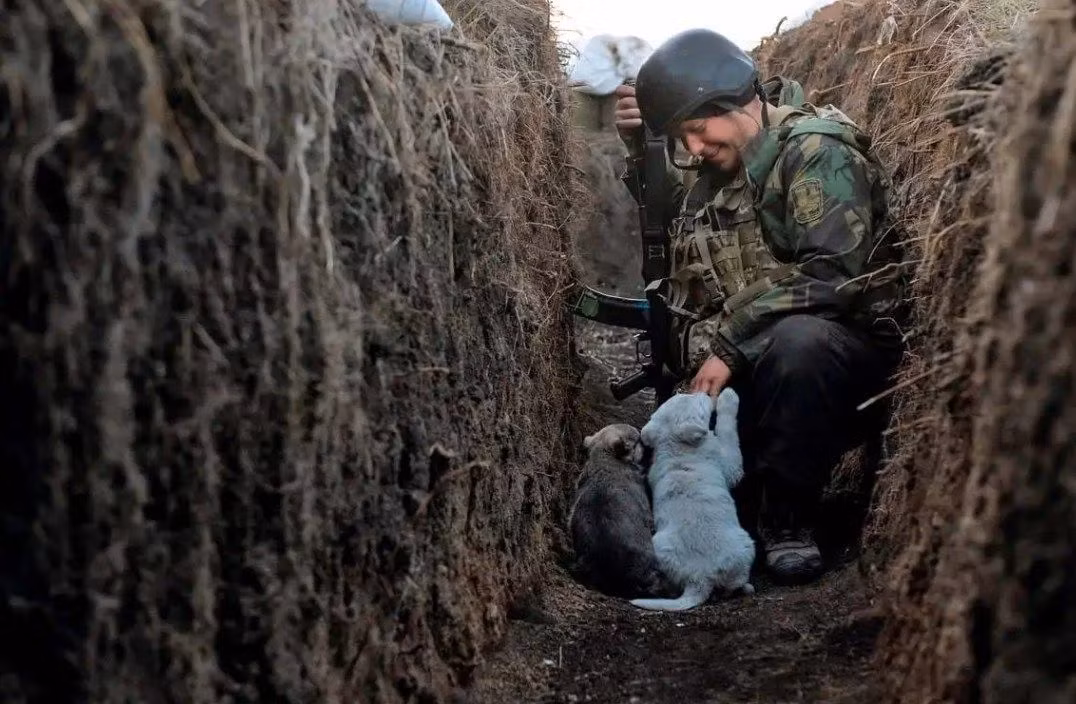 Sau năm 2014, Quân đội Ukraine đã xây dựng các công sự của họ ở Sieverodonetsk và đà tiến công của Nga được cho là sẽ không được thuận lợi. Để tăng cường tấn công các vị trí phòng thủ của Quân đội Ukraine tại Sieverodonetsk, Quân đội Nga đã điều thêm 15 trực thăng để tăng cường sức sức mạnh. 