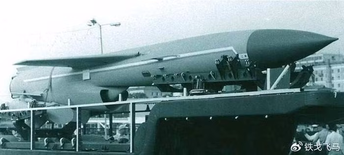 Theo các nguồn tin, P-35 là loại tên lửa chống hạm đã ra đời trên 60 năm, và còn một số vẫn đang phục vụ trong Quân đội Nga. Mặc dù tên lửa này đã cũ, nhưng nó có thể mang hơn nửa tấn thuốc nổ, có thể đánh chìm những tàu chiến hàng chục nghìn tấn, chỉ bằng một phát bắn trúng.