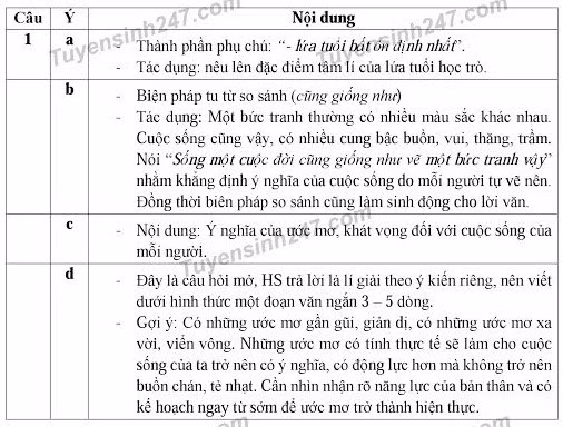 De thi va goi y loi giai mon Ngu van lop 10 tai TP HCM-Hinh-2