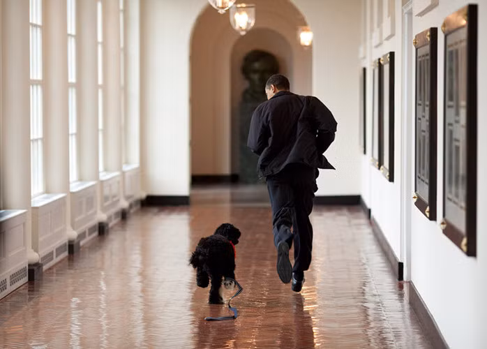 Khoanh khac hai huoc hiem thay cua Tong thong My Obama-Hinh-8