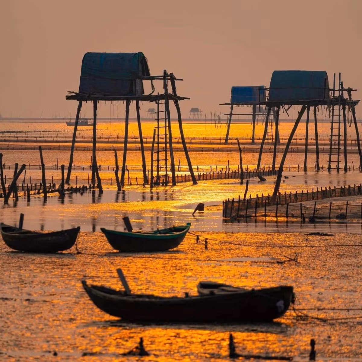 Du khách đến Đồng Châu có thể tham gia các hoạt động thú vị như đi bắt ngao, câu cá, đi thuyền ra các bãi bồi, hoặc thưởng thức hải sản tươi sống với giá cả rất phải chăng. Đặc sản nơi đây có ngao, sam biển, cua gạch và mắm cáy – những món ăn dân dã mang đậm hương vị quê biển.