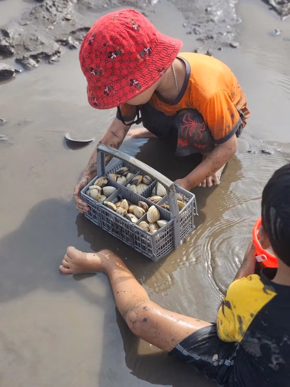 Không phân biệt người lớn hay trẻ nhỏ, ai cũng có thể tham gia cào ngao. Ảnh Hải Phòng