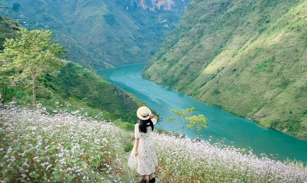 Hà Giang không chỉ là địa điểm lý tưởng cho những ai yêu thích thiên nhiên, mà còn là nơi lý tưởng để bạn tìm lại sự mạnh mẽ và tĩnh lặng trong tâm hồn. Một chuyến đi Hà Giang sẽ mang đến cho du khách một trải nghiệm chữa lành đầy ý nghĩa. Ảnh CrysatlBay