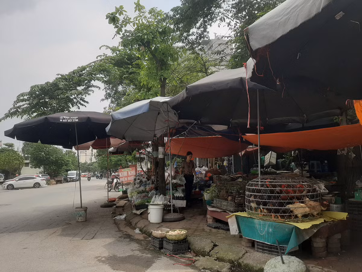 Hàng quán dựng ô dù, lều bạt lấn chiếm vỉa hè, lòng đường (phường La Khê).