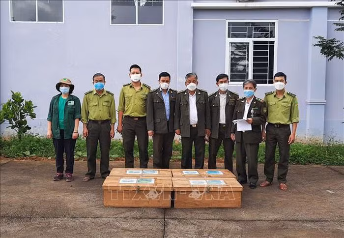 Sau khi nhận được thông báo cứu hộ, Vườn Quốc gia Cúc Phương ở tỉnh Ninh Bình đã cử một tổ công tác thuộc Trung tâm Cứu hộ, bảo tồn và phát triển sinh vật tới Đà Nẵng và Quảng Trị để cứu hộ, tiếp nhận số lượng lớn động vật hoang dã.