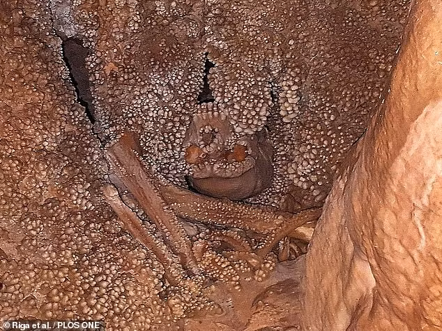 Thi hài Altamura Man nằm ở vị trí rất khó tiếp cận, phải di chuyển qua những khe nứt hẹp dưới lòng đất suốt 20 phút nên đến nay giới chuyên gia vẫn chưa thể đưa nó lên mặt đất.