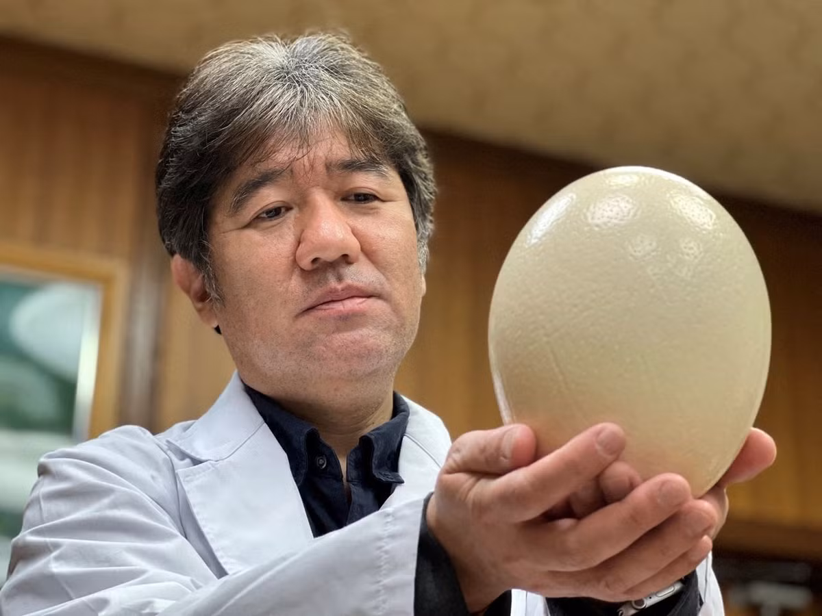 Ông Yasuhiro Tsukamoto (trong ảnh) là Giáo sư thú y và là Chủ tịch Đại học Kyoto cho hay phát minh khẩu trang có khả năng phát sáng trên có thể giúp phát hiện sớm những người mắc COVID-19 nhưng không có biểu hiện triệu chứng và ít có khả năng được xét nghiệm.