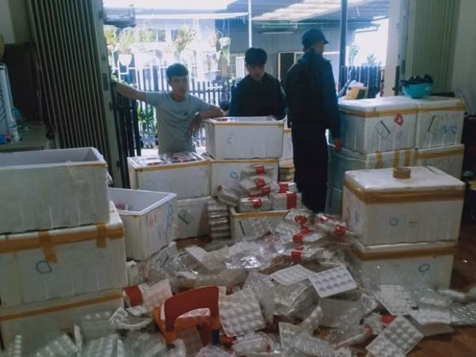 Kiểm tra, phát hiện 370kg dâu tây Trung Quốc ở Đà Lạt Kiem tra, phat hien 370kg dau tay Trung Quoc o Da Lat