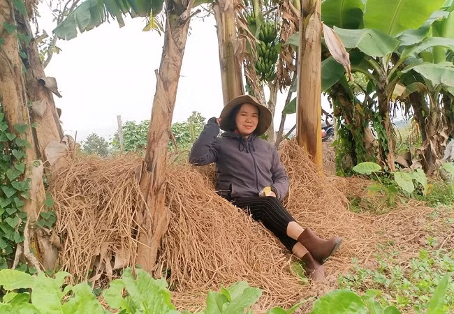 Bo viec luong cao ve que khoi nghiep, 8x Hai Phong thu ca ty dong/nam