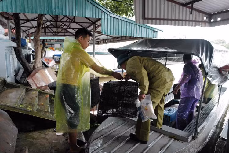 169 cá thể động vật hoang dã, gồm 5 loài: Rắn hổ chúa, mèo rừng, khướu bạc má, chim di đá và sáo đá được Trung tâm Cứu hộ động vật hoang dã Hà Nội tổ chức tái thả về môi trường tự nhiên tại rừng đặc dụng Hương Sơn, huyện Mỹ Đức. Ảnh: Kinhtedothi.