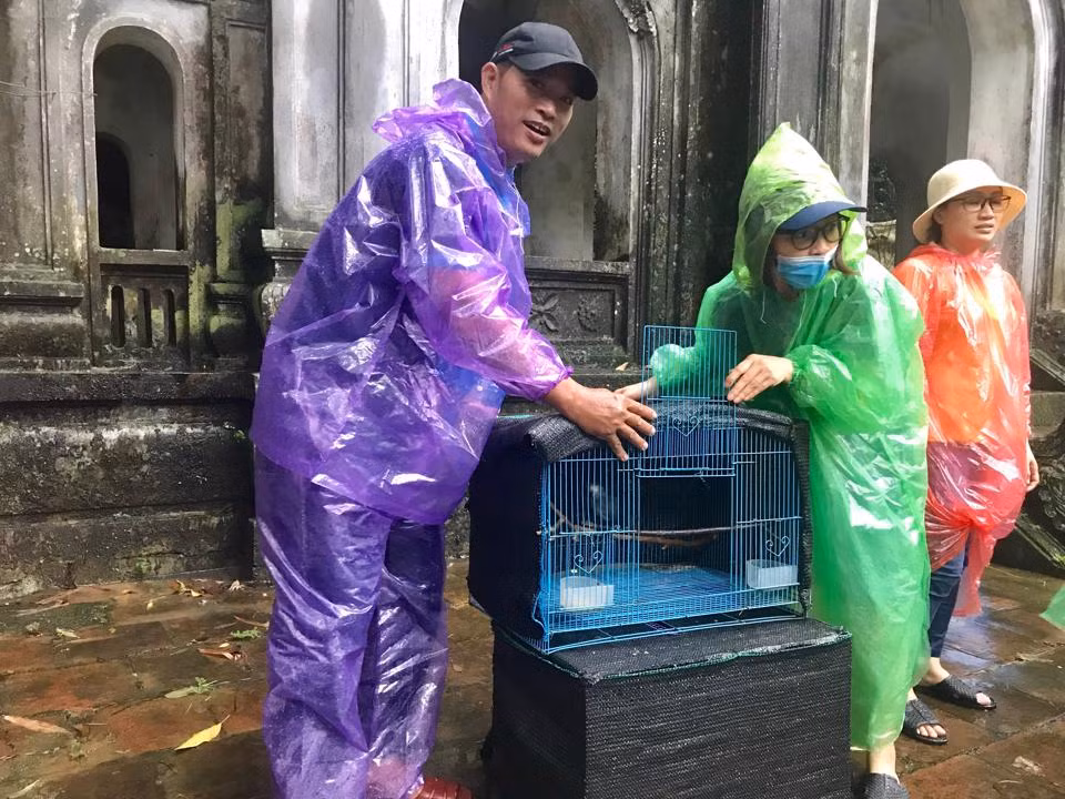 Toàn bộ các cá thể động vật hoang dã này đều là tang vật do lực lượng công an thu giữ từ các đối tượng buôn bán động vật hoang dã trái phép. Ảnh: Kinhtedothi.