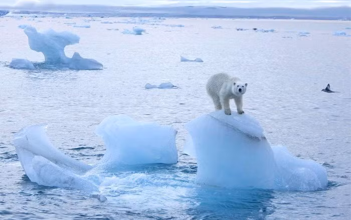 Tạp chí Communications Earth &amp; Environment mới xuất bản bài viết công bố kết quả nghiên cứu của các nhà khoa học từ Na Uy và Phần Lan về việc Bắc Cực ấm lên nhanh gấp 4 lần so với phần còn lại của Trái đất. Con số này lớn hơn nhiều so với suy nghĩ trước đây của giới khoa học.