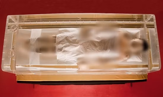 Tương tự Tollund Man, xác ướp Tân Truy phu nhân hay Đại phu nhân vô cùng đặc biệt. Xác ướp nguyên vẹn này được các công nhân tại Hồ Nam, Trung Quốc tình cờ tìm thấy vào năm 1971.